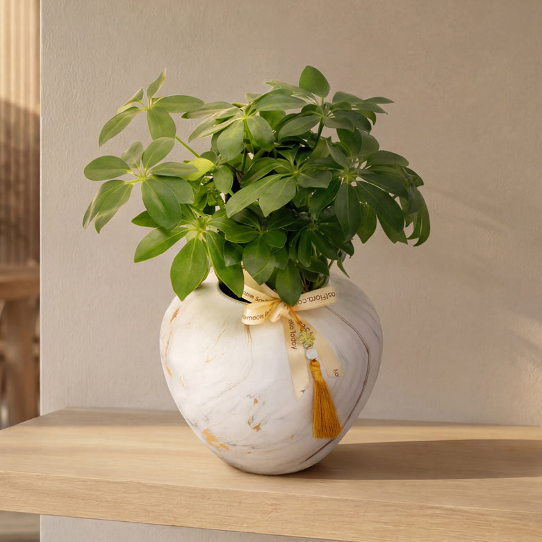 Golden Canopy – Table Garden