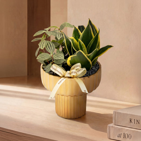 Botanic Duet – Table Garden