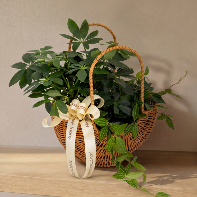 Crescent Grove – Table Garden