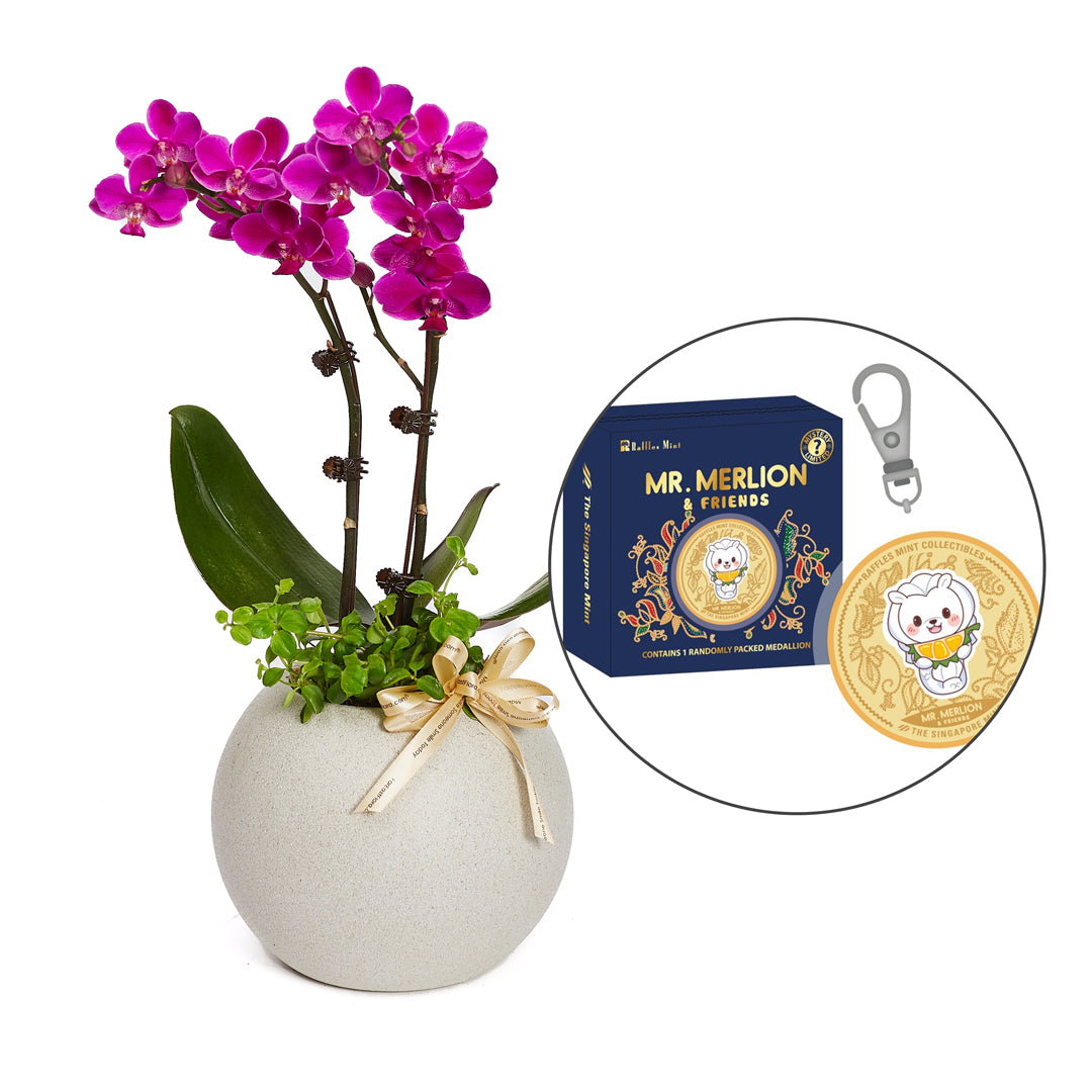 Mr. Merlion Mystery Medallion Blind Box (Singapore Mint) x Flowers Gift Set