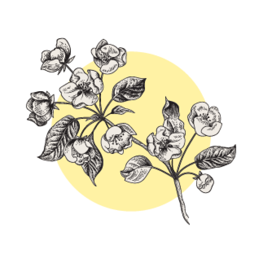 Only The Freshest Flowers