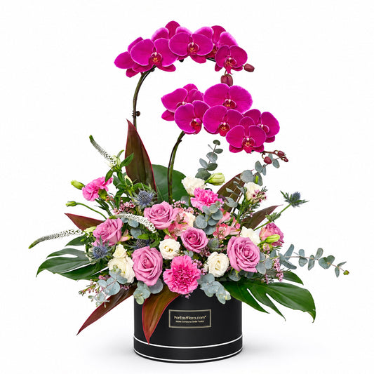 Eminence - Phalaenopsis Table Flowers
