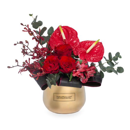 Scarlet Luxe