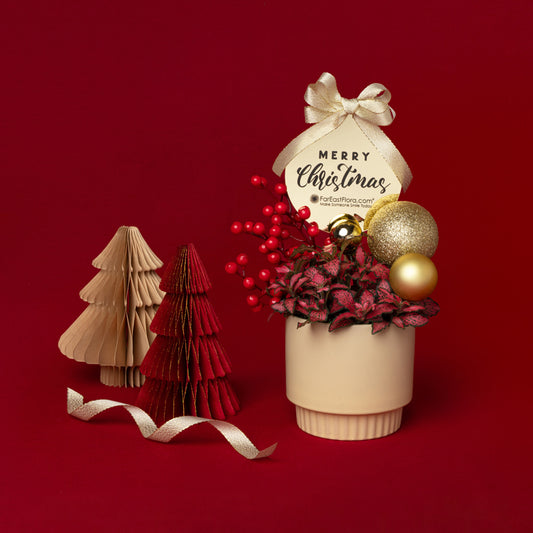 Festive Cheers