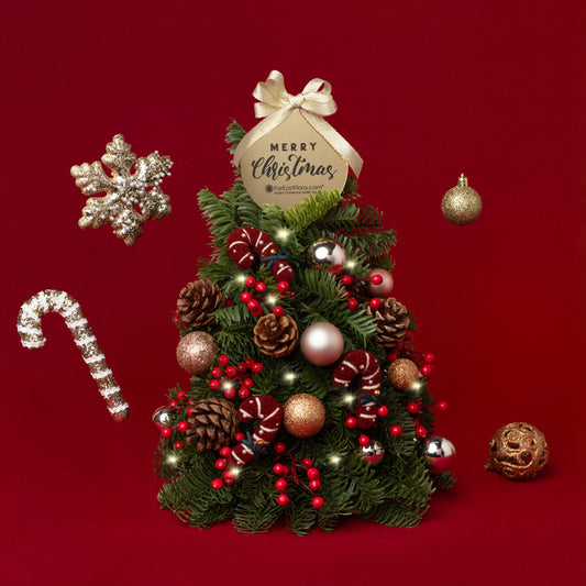 Miniature Candy Forest - Mini Fresh Christmas Tree 30cm