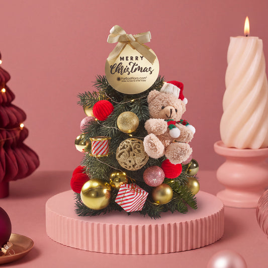 Teddy’s Little Christmas Tree - Mini Fresh Christmas Tree 30cm