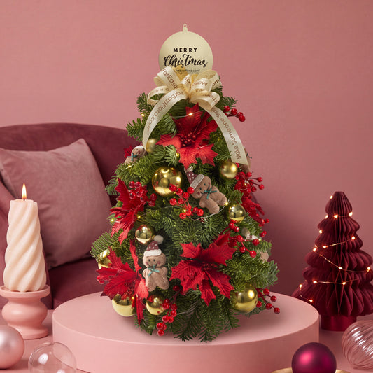Gingerbread’s Forest - Mini Fresh Christmas Tree 50cm