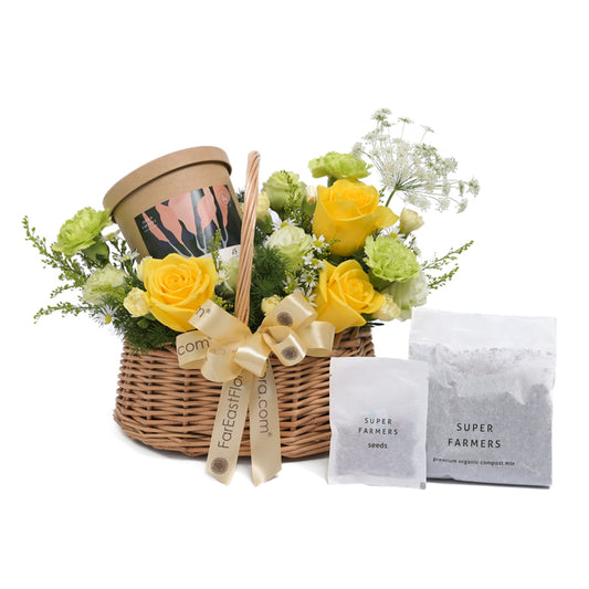 Super Farmers Chinese Kale Microgreens Single Starter Kit x Flowers 