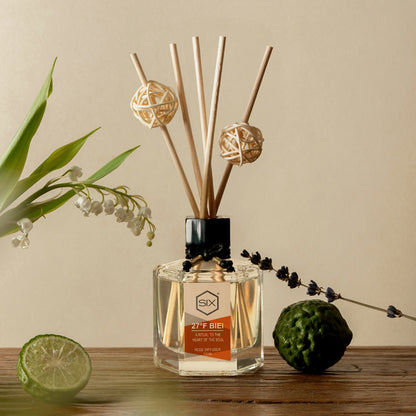 27°F Biei Reed Diffuser by Scent by Six