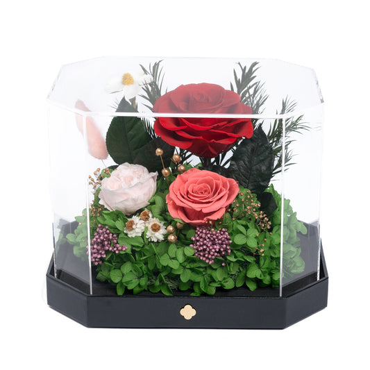 Whispers Of Bloom – Preserved Flowers