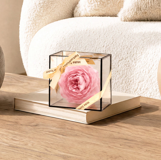 Peony Forever – Preserved Peony