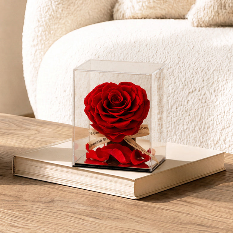 Captured Heart – Preserved Rose