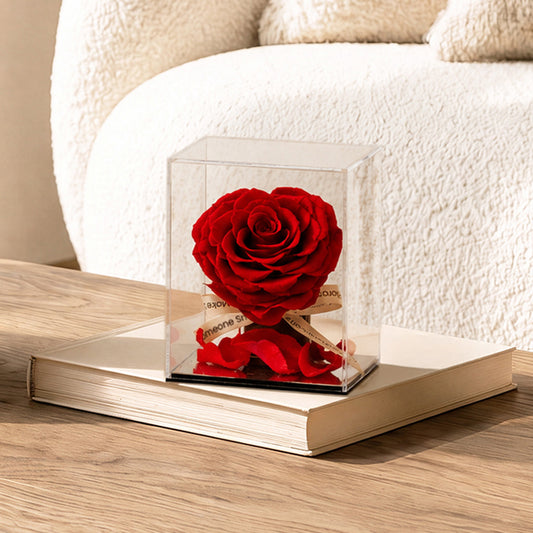 Captured Heart – Preserved Rose