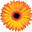 FarEastFlora.com logo